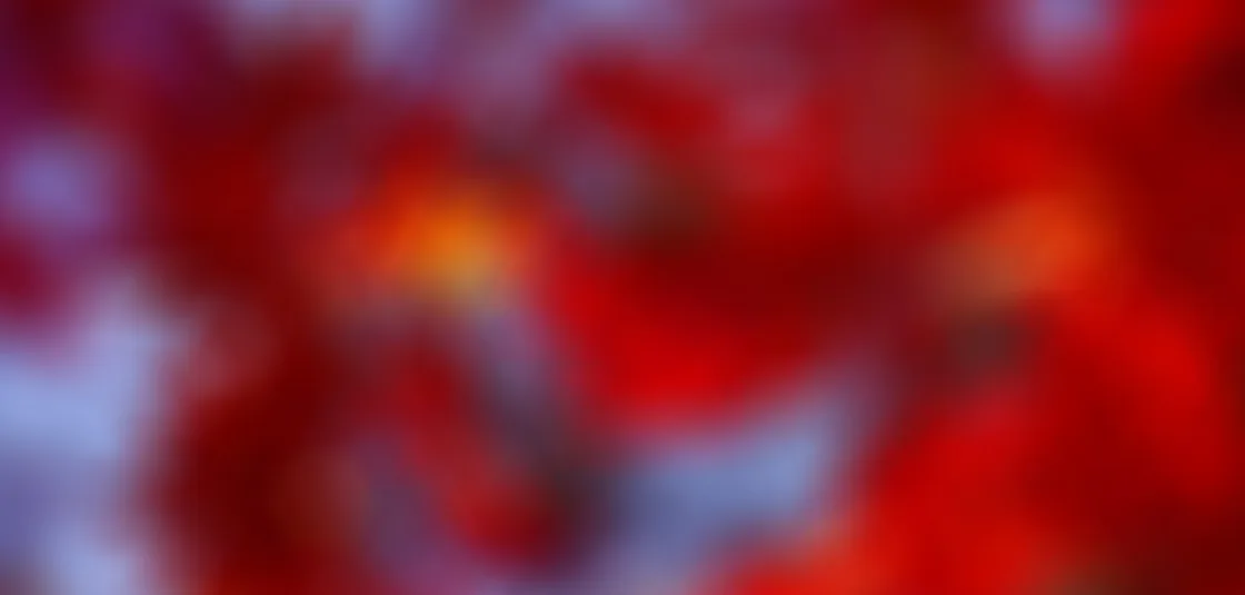 c7c7.app1